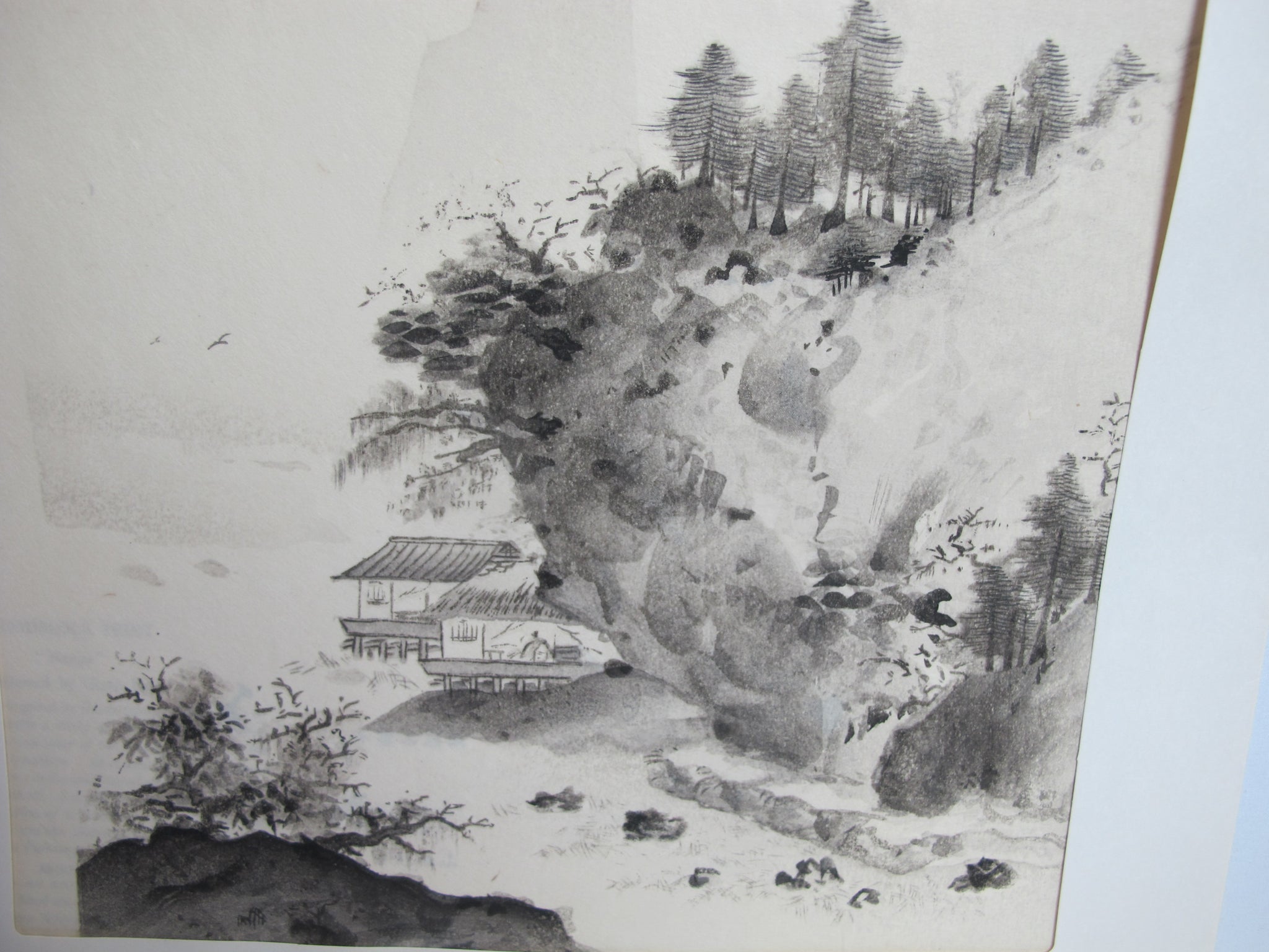 Japanese IZUNO GIZAN Oban Woodblock Print Chinese Style NANGA 